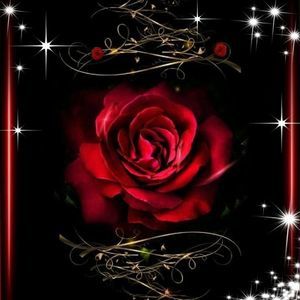 Meet your Posher, Yvette